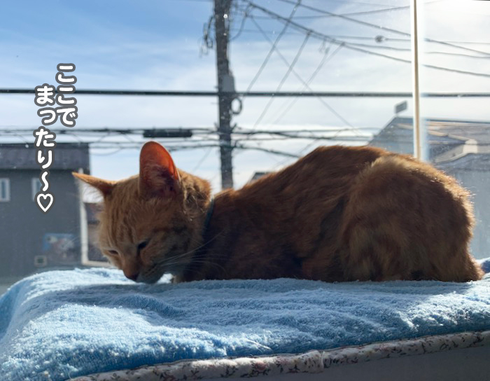 31日夕ブログ３