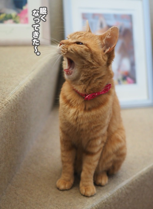 22日ブログ１