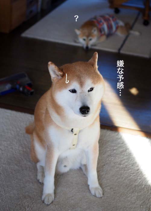 15日夜ブログ７