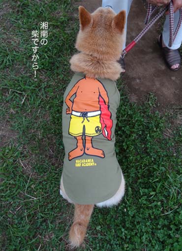 30日ブログ10.jpg