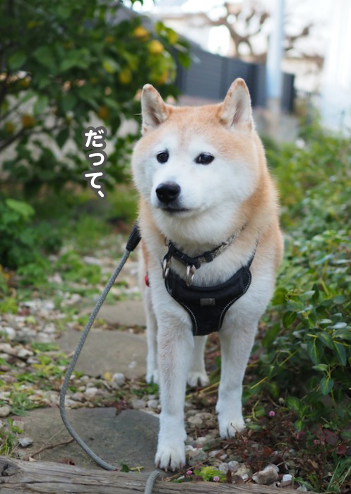 2日夕ブログ２