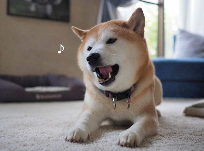 4日午前ブログ９