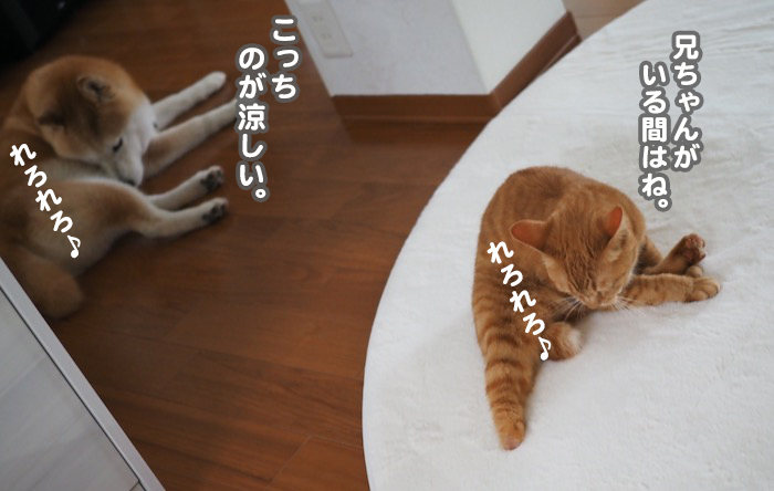 25日夕ブログ１１