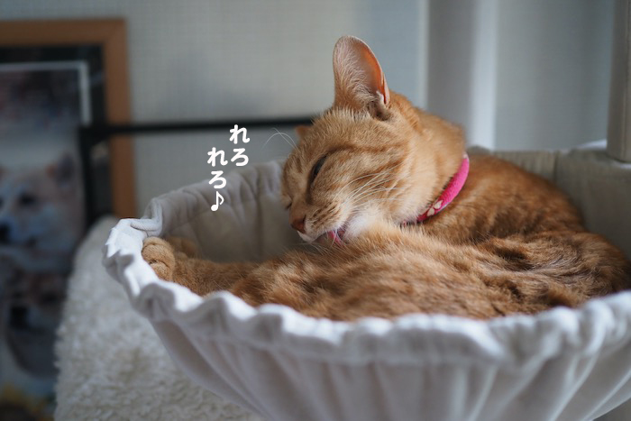 19日夕ブログ3