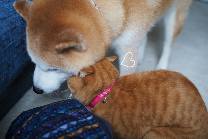 13日ブログ１
