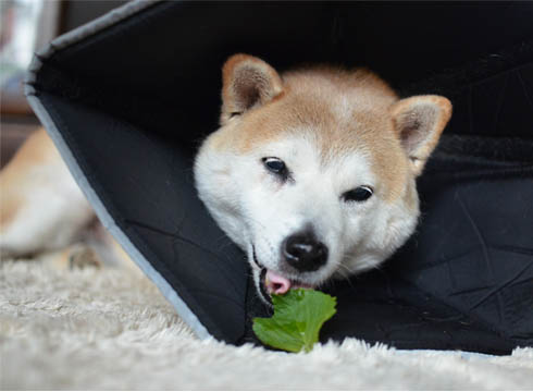 24日ブログ7.jpg
