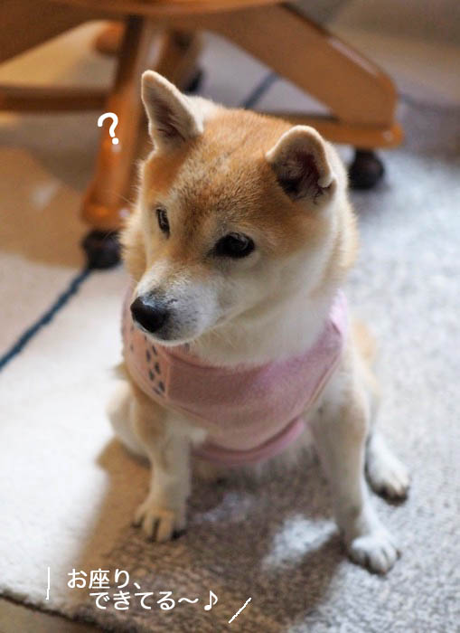4日夜ブログ３