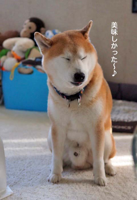3日ブログ２