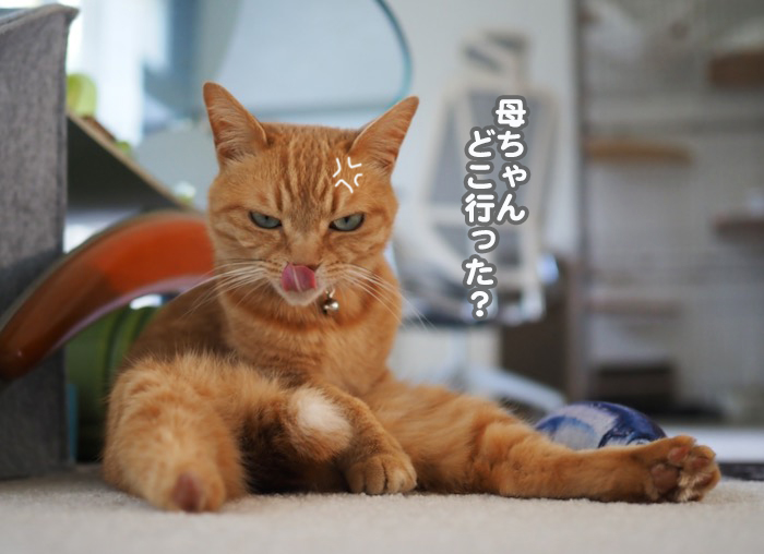 6日ブログ３