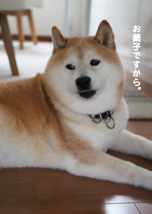 12日夕ブログ１３