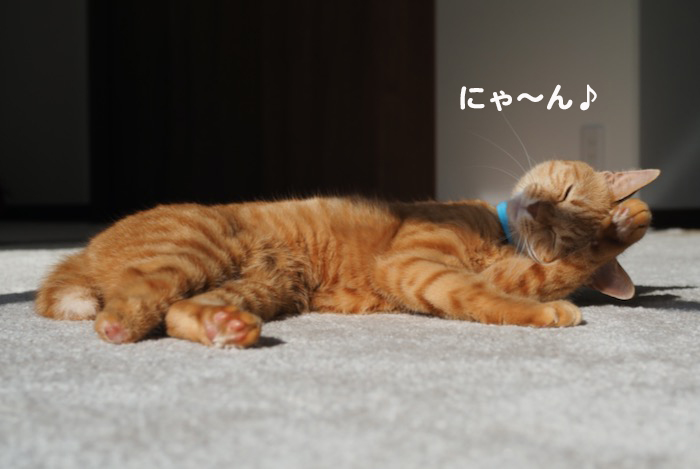 14日夕ブログ５