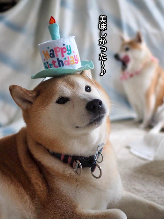 22日ブログ３