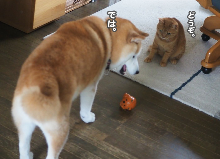 15日夕ブログ４