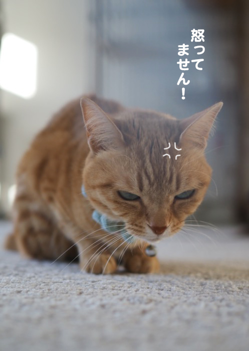 7日夕ブログ６