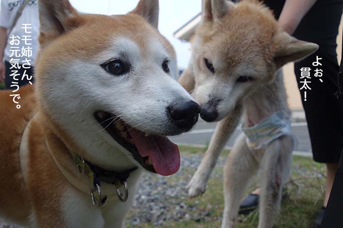 14日ブログ３