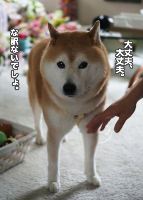 20日ブログ７