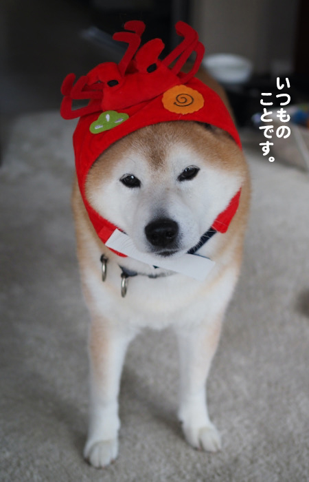 2日夜ブログ７