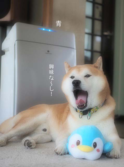 22日ブログ7