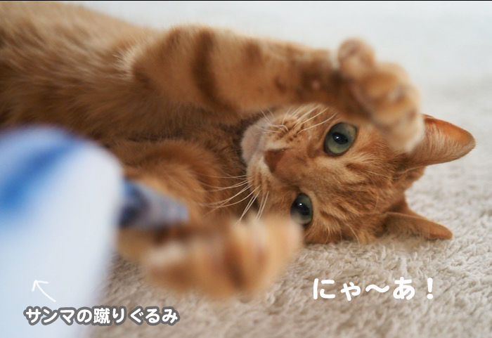 22日ブログ１