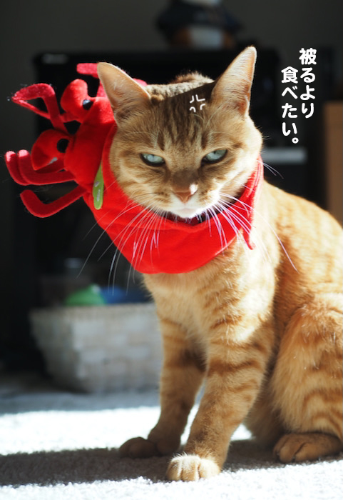 2日夜ブログ５