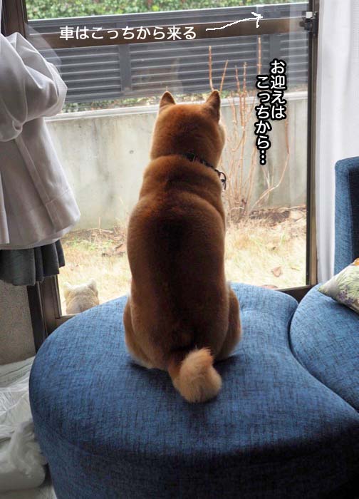 26日夜ブログ３