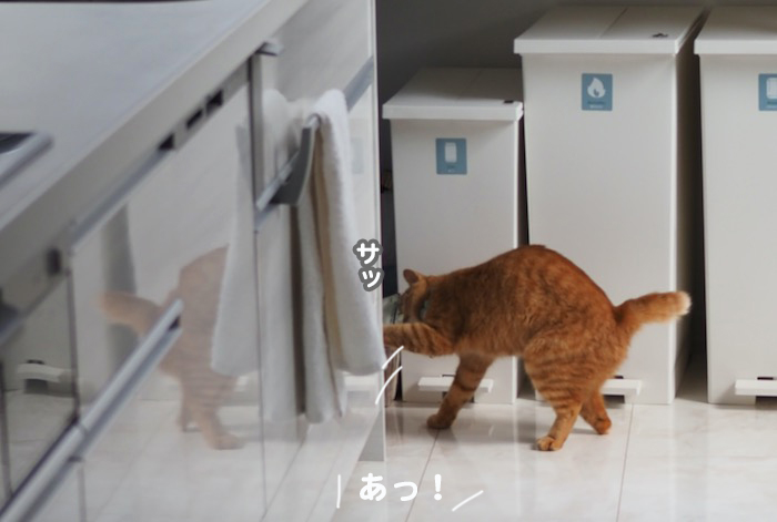 15日夕ブログ３