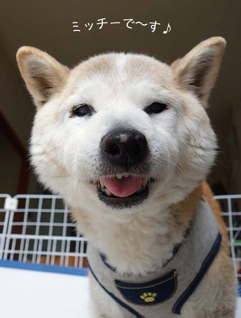 8日ブログ2