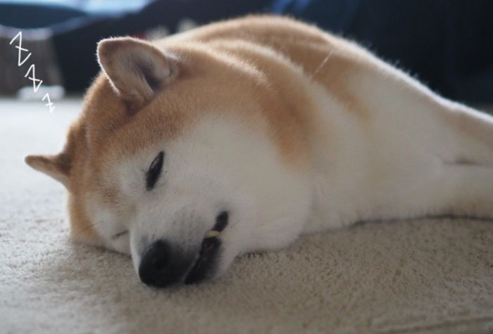 26日夕ブログ７