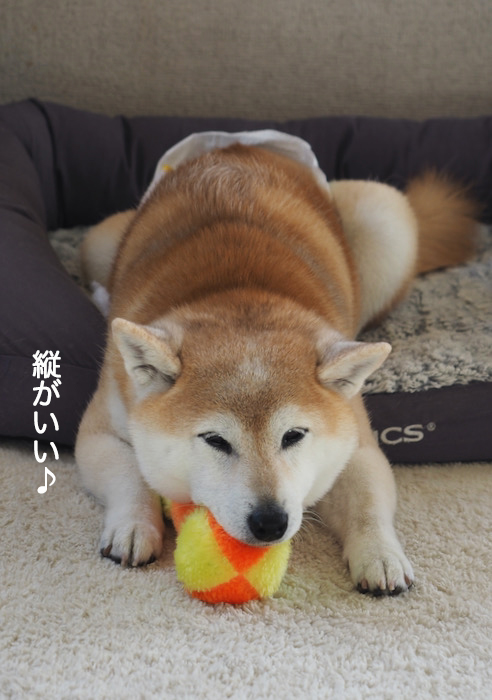 27日ブログ３