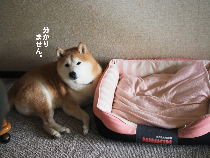 18日ブログ３
