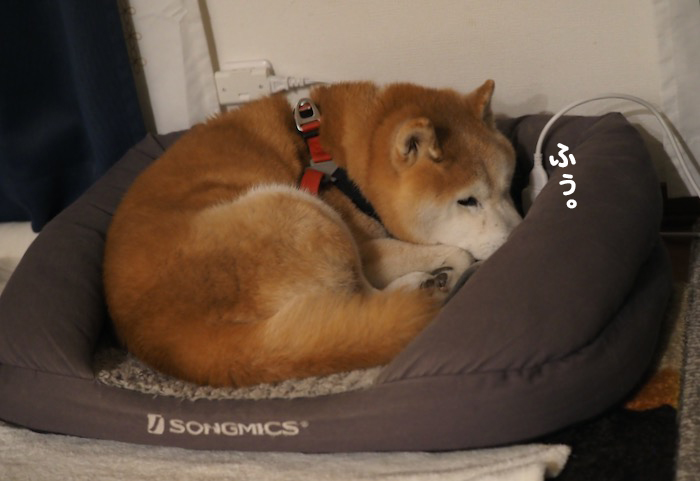 21日夜ブログ２