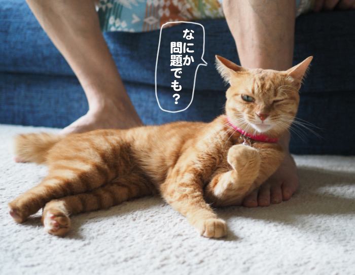 12日夕ブログ５
