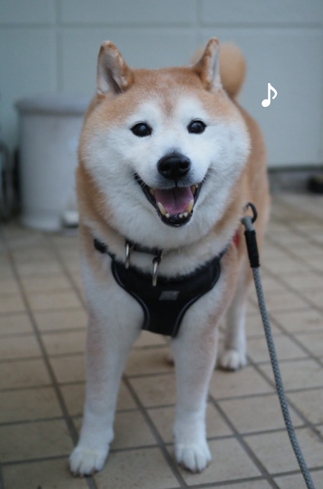 23日ブログ２