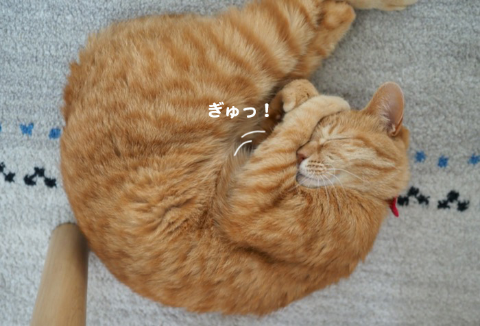 1日夕ブログ３