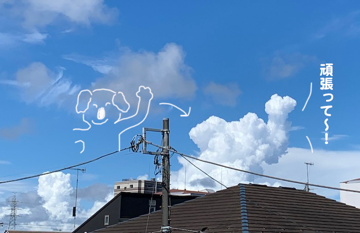 13日夕ブログ１
