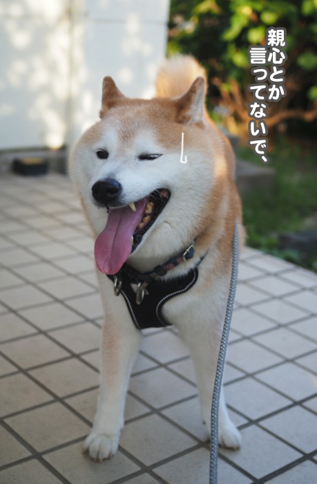 29日夜ブログ５