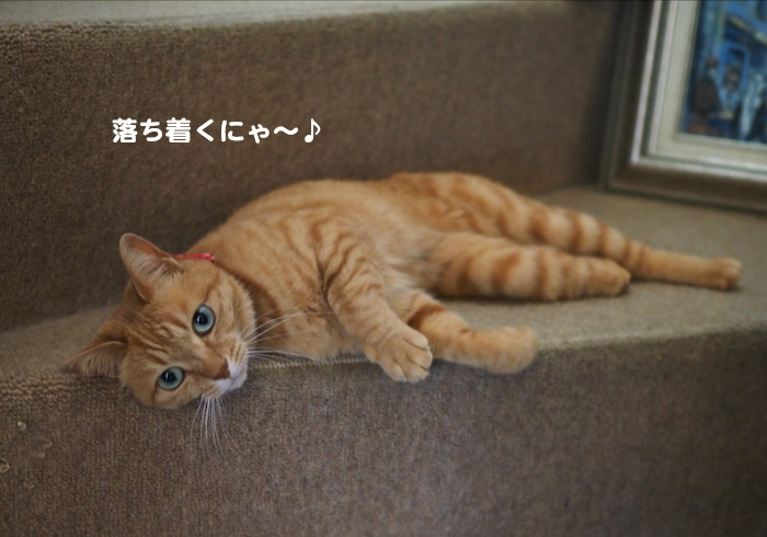 2日夜ブログ２