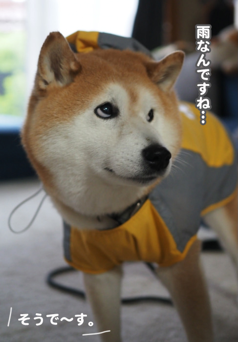 10日午後ブログ３