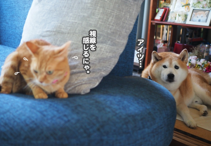 22日ブログ９