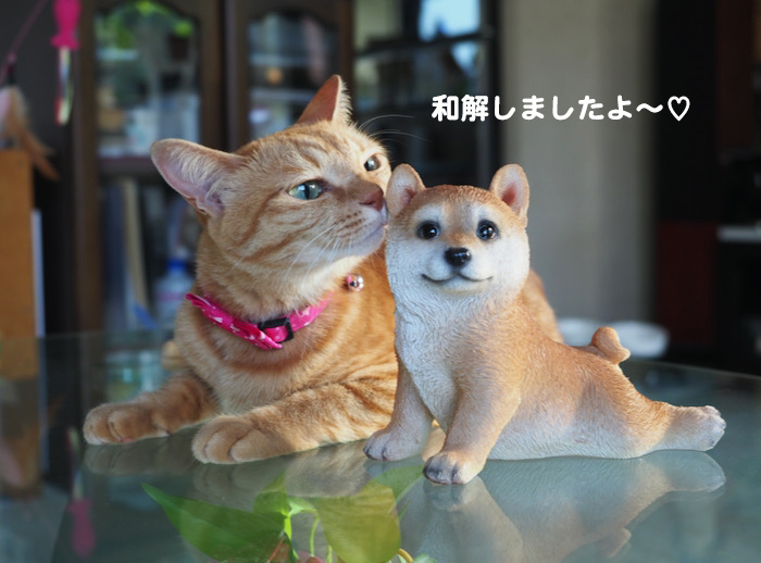 19日夕ブログ６