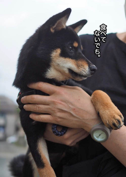 30日ブログ４