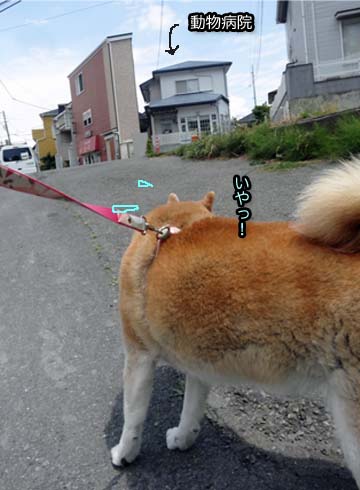 27日ブログ3.jpg