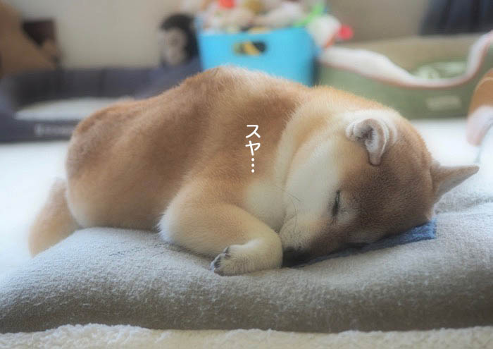 13日午後ブログ６