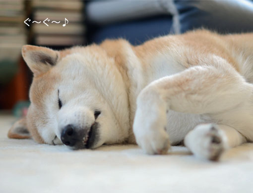 22日ブログ2.jpg