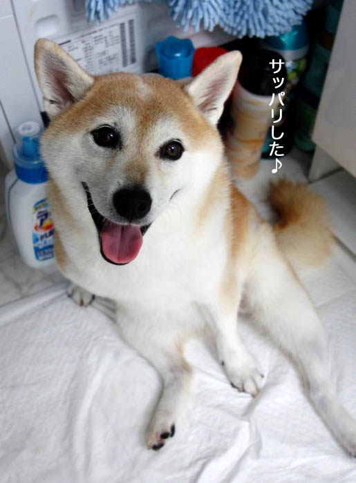 28日夕ブログ５