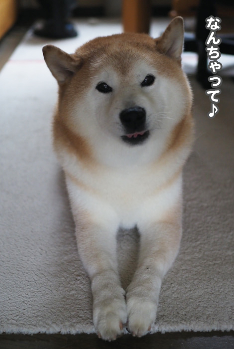 8日ブログ４