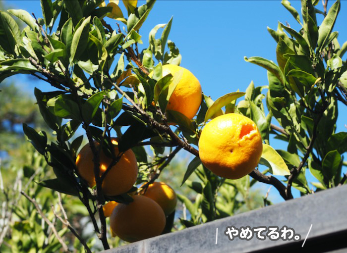 20日ブログ３