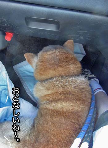9日ブログ3.jpg