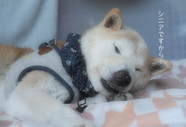 15日ブログ5