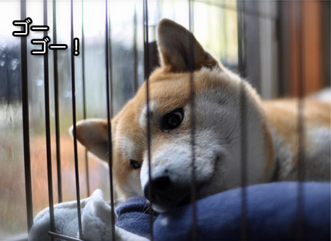 3日ブログ6.jpg